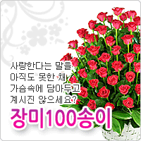 장미100소이